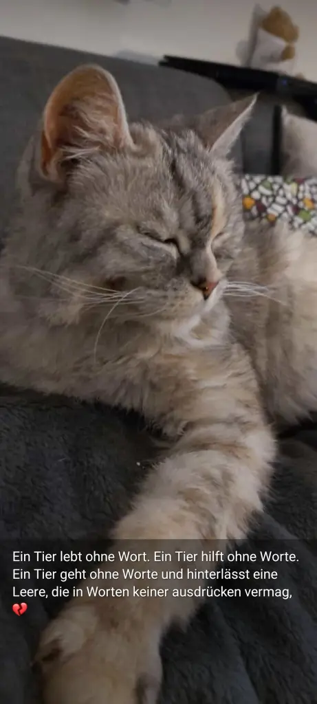 Andachtsbild von Für mein Baby ♥️ Deine Mama