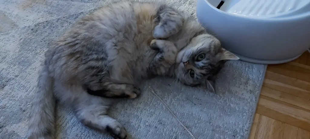 Andachtsbild von Deine Mama