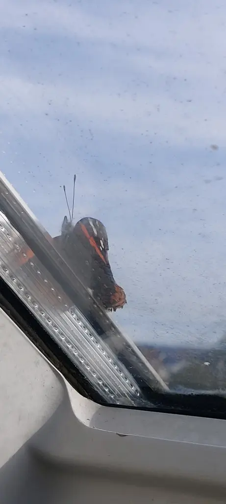 Andachtsbild von Für mein Baby ♥️