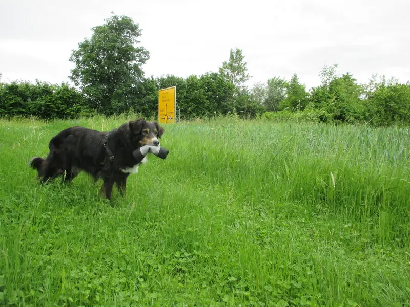 Andachtsbild von Renate mit Artax"Bubele" tief im Herzen