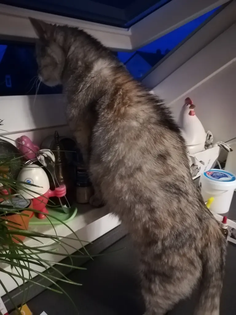 Andachtsbild von Silke mit Mia im Herzen