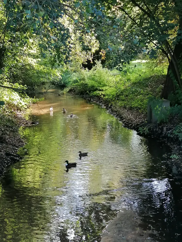 Andachtsbild von Für Silke und Mia ❤️