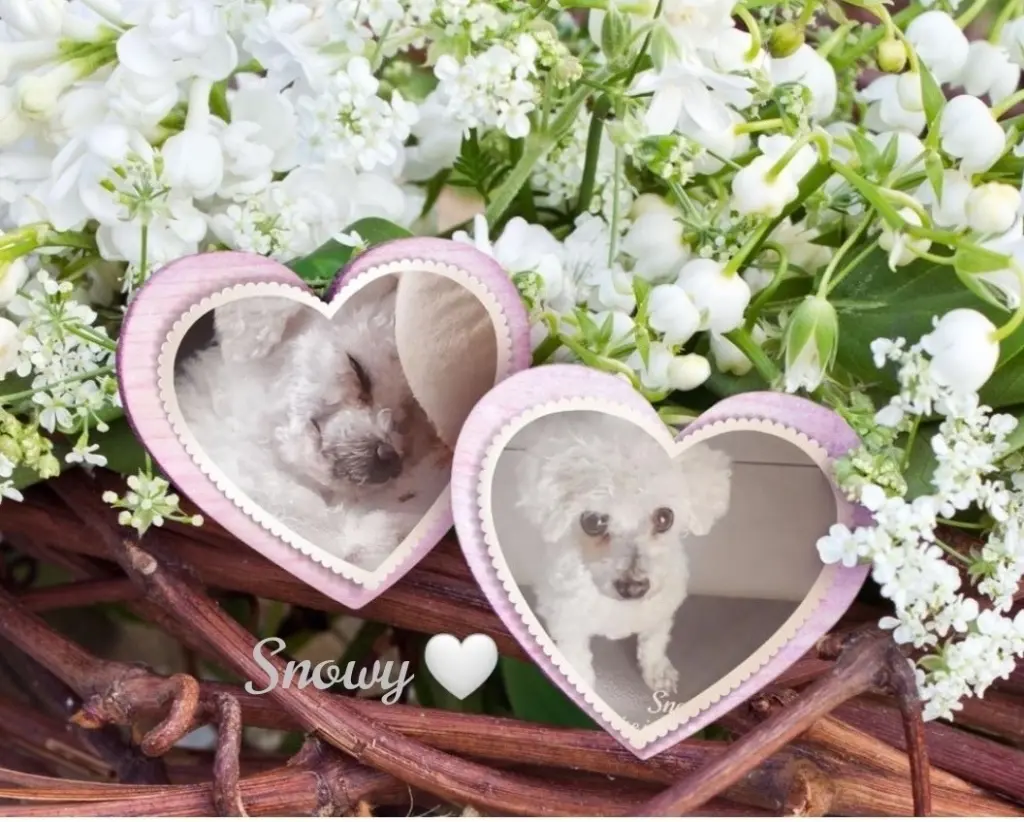 Andachtsbild von Danke Silke❤️