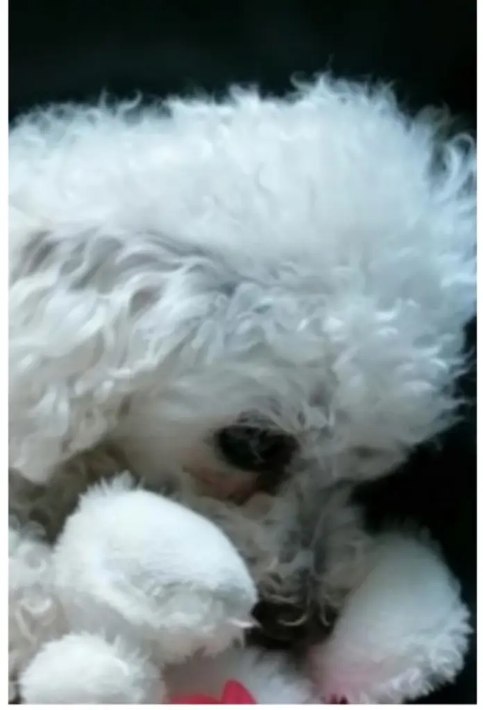 Andachtsbild von Für Silke 