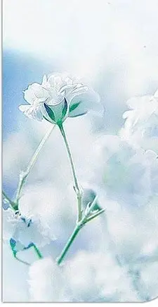 Andachtsbild von Gaby mit Snowy ❤️