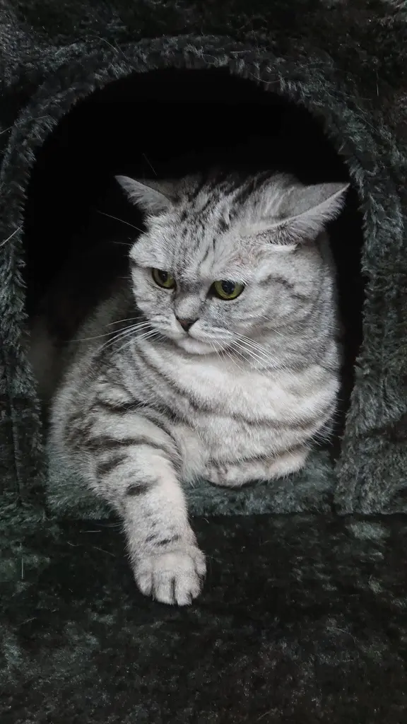 Andachtsbild von Ina Erberich