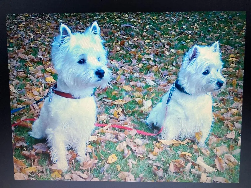 Andachtsbild von Sigrid 