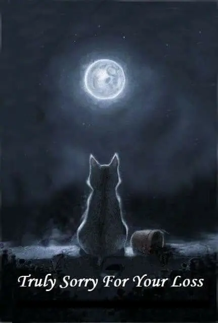 Andachtsbild von Für mein Mädchen ♥️