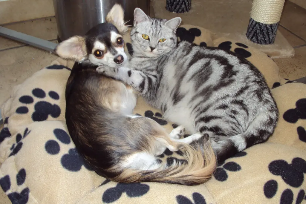 Andachtsbild von Für Silke und Mia