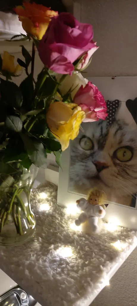 Andachtsbild von Für mein Muggelchen ♥️