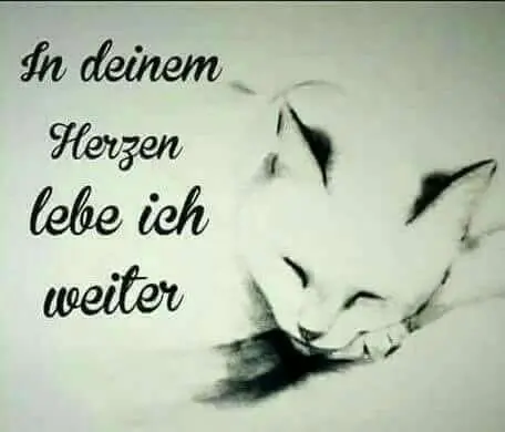 Andachtsbild von Für mein Muggelchen ♥️