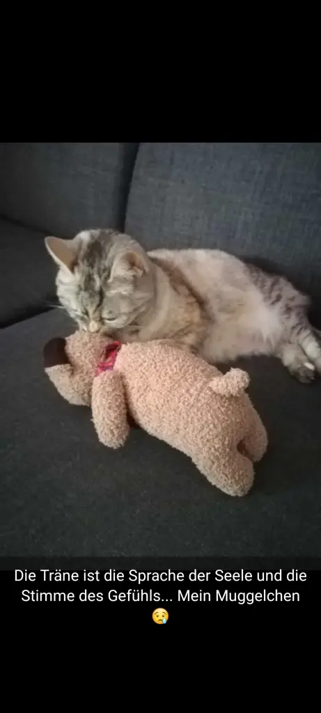 Andachtsbild von Für mein Baby ♥️