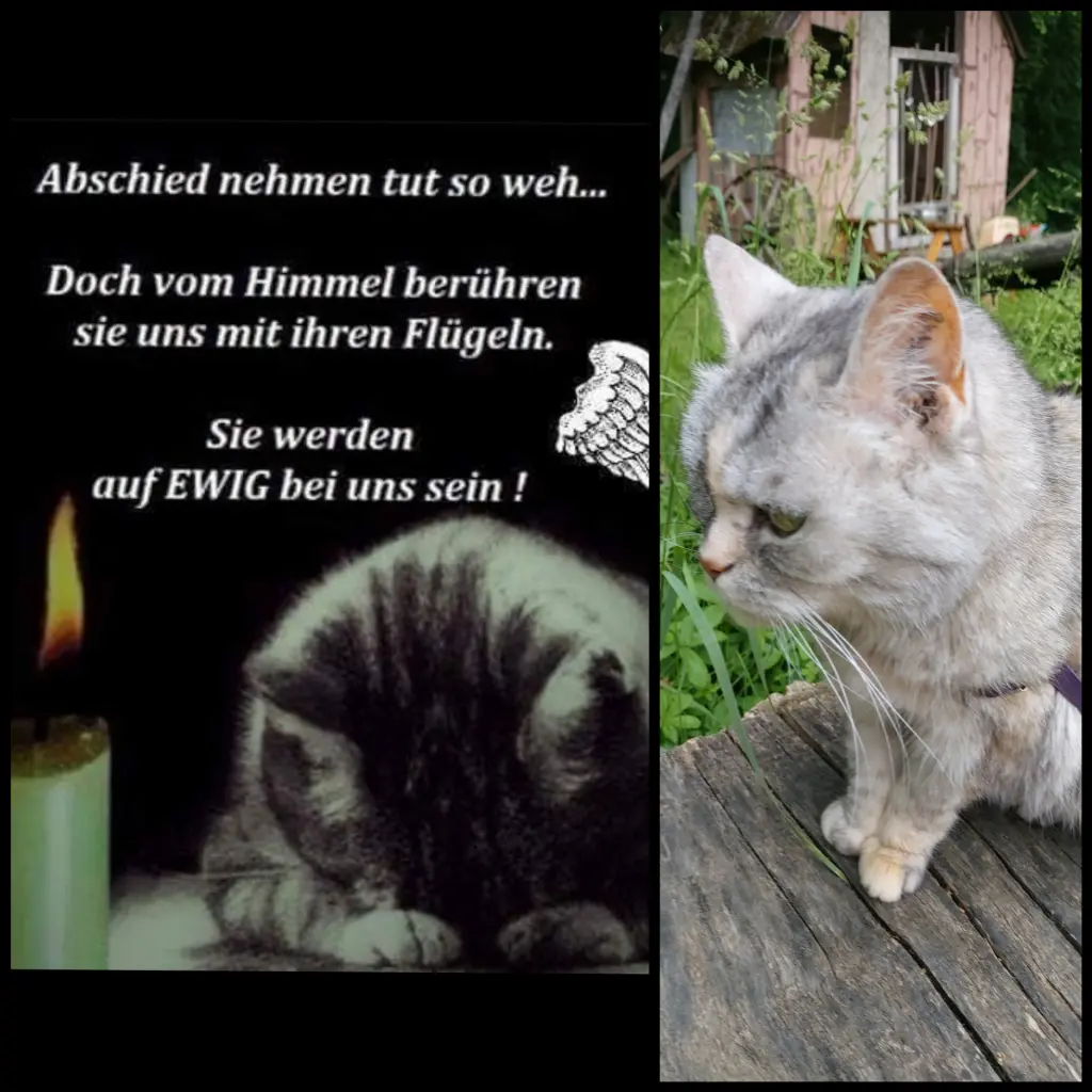 Andachtsbild von Für mein Baby ♥️