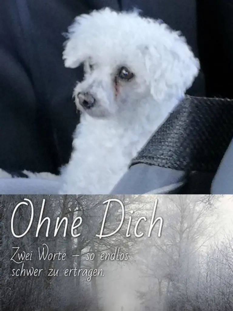 Andachtsbild von Für Mia s Mami 