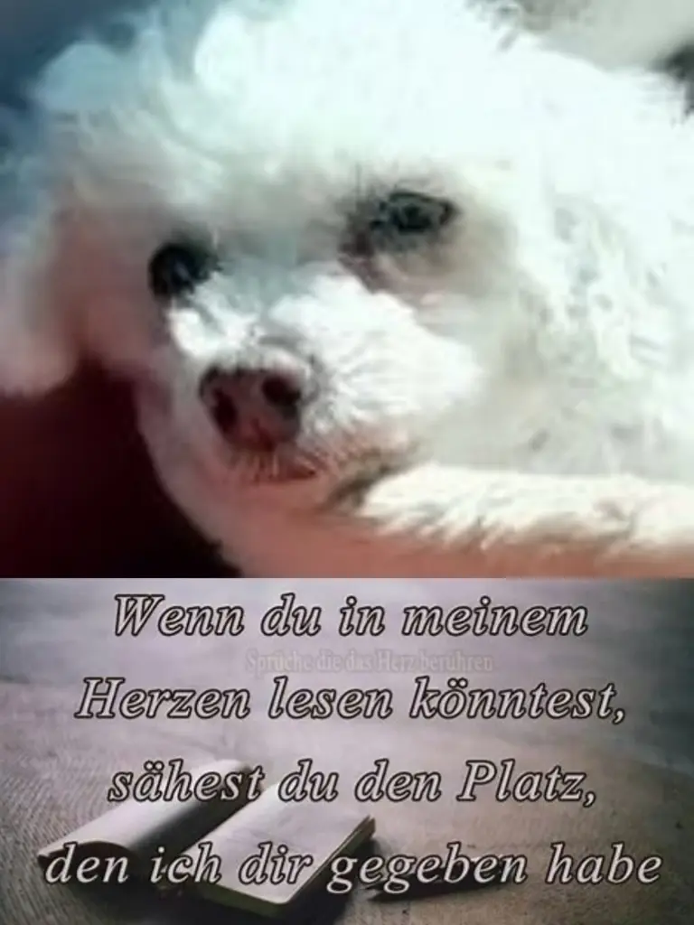 Andachtsbild von Gaby mit Snowy ❤️