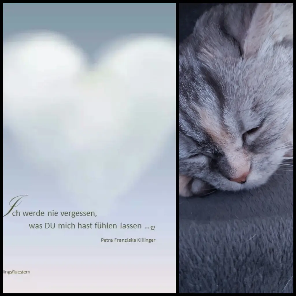 Andachtsbild von Für mein Baby ♥️