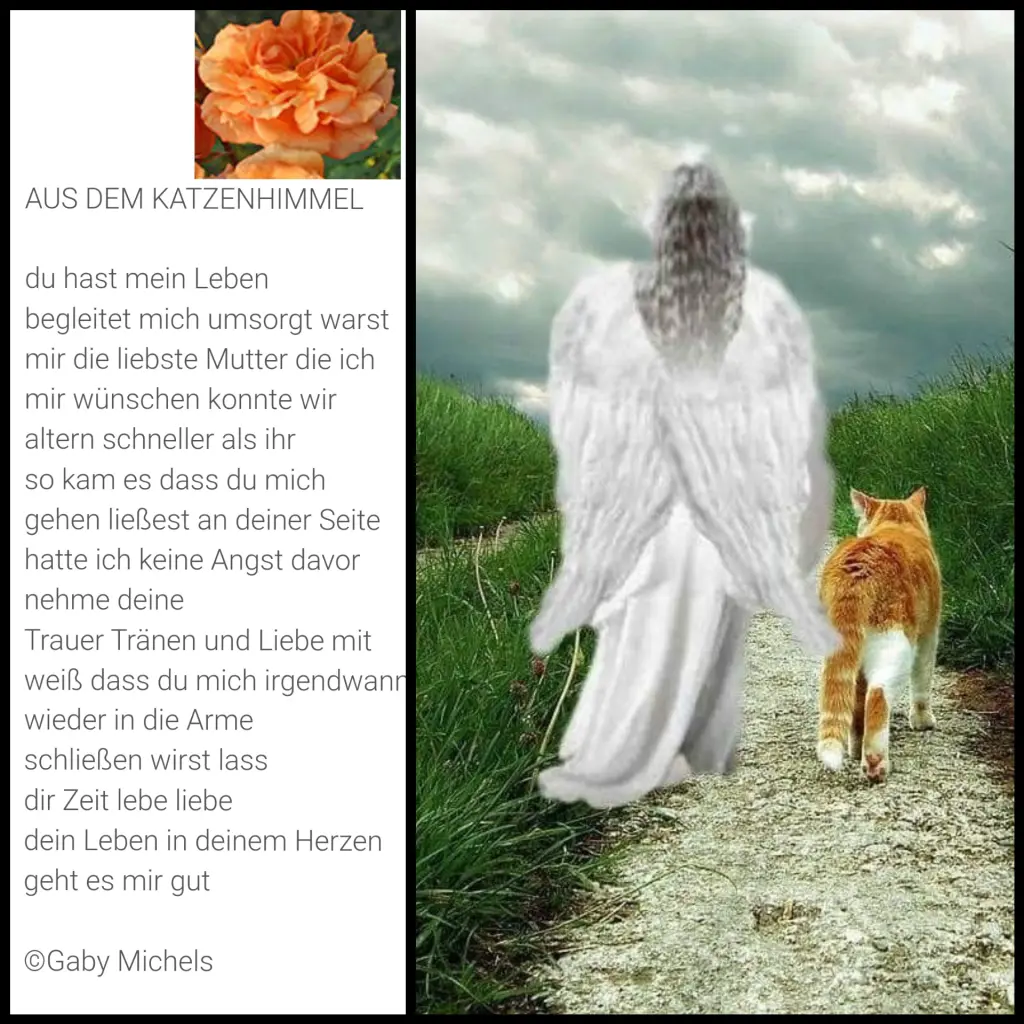 Andachtsbild von Mein Mädchen ♥️