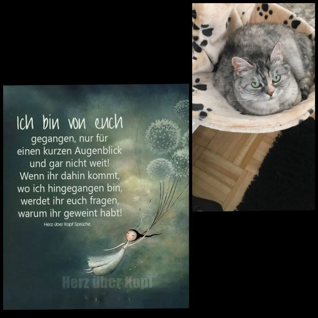 Andachtsbild von Baby ♥️