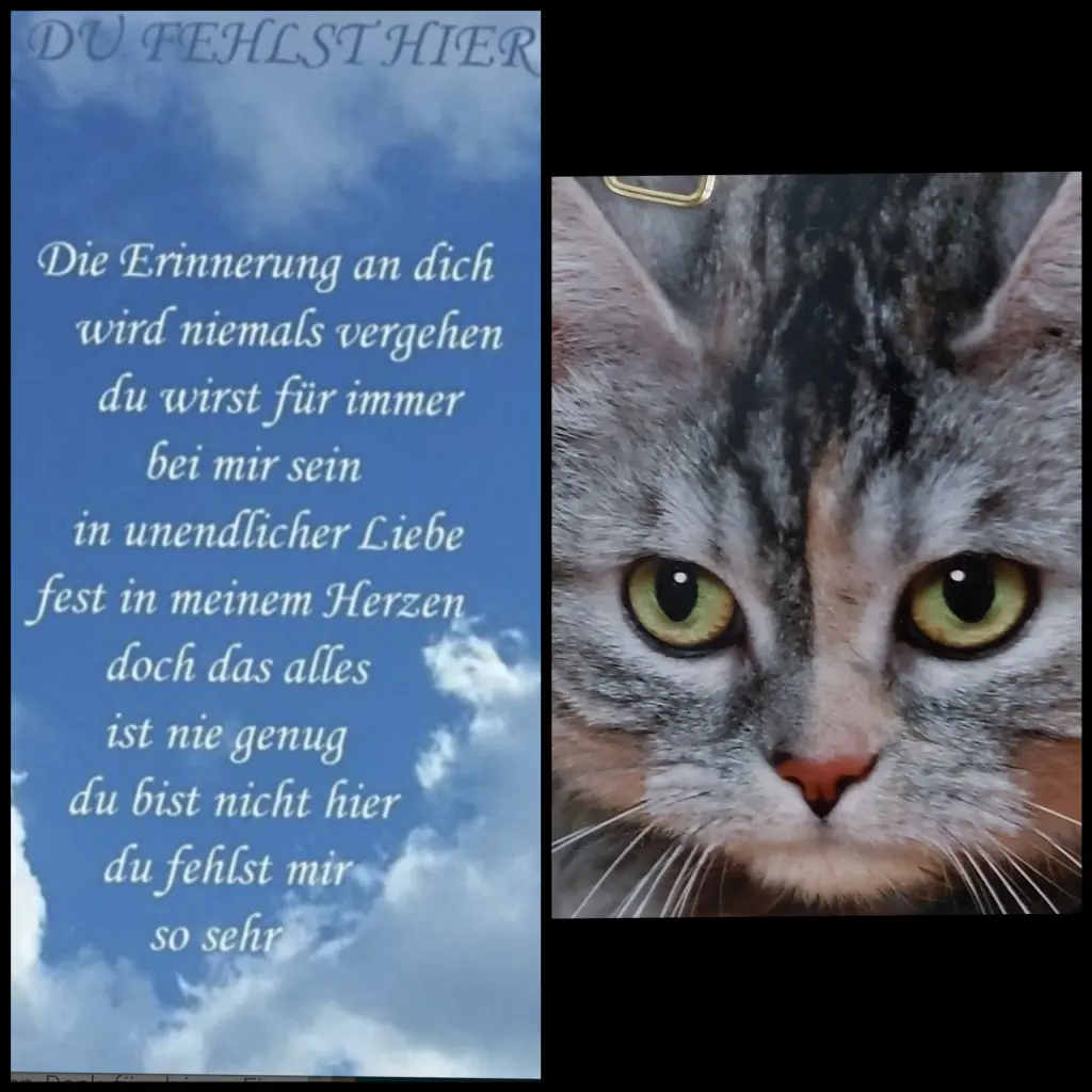 Andachtsbild von Mein Mädchen ♥️