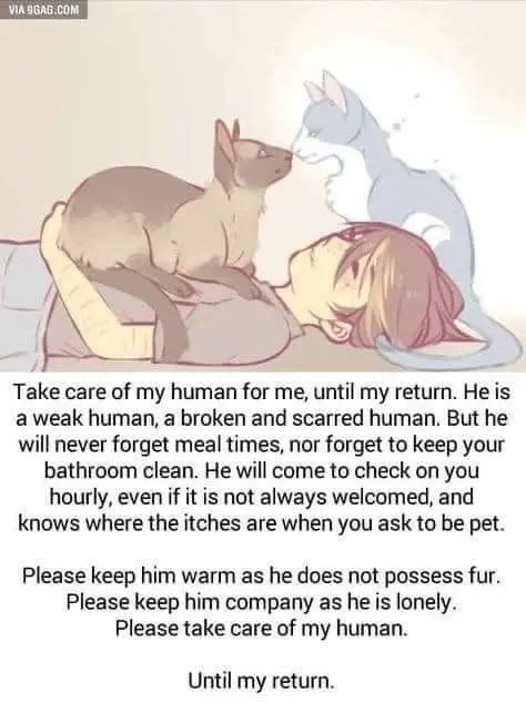 Andachtsbild von Danke