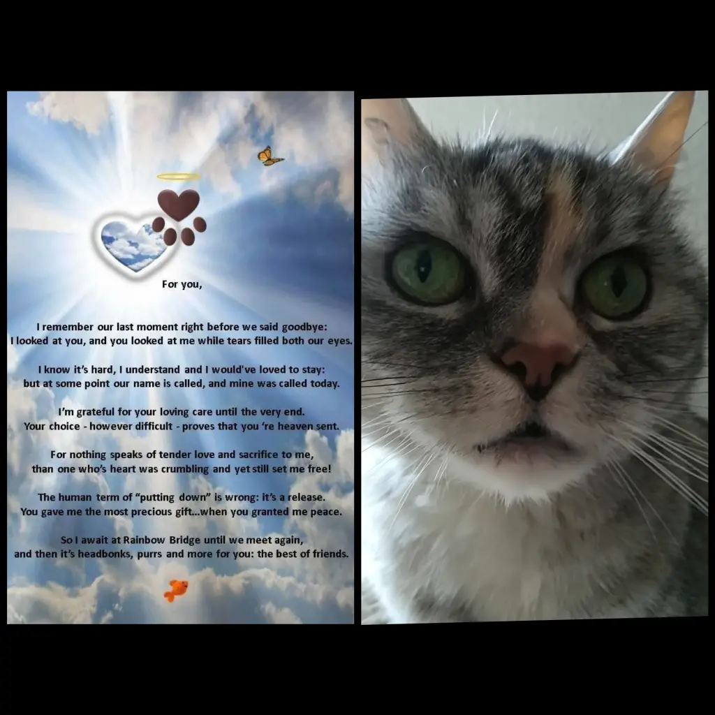 Andachtsbild von Guten Morgen ♥️