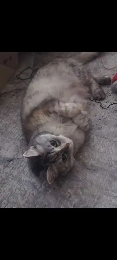 Andachtsbild von Love of my life ♥️