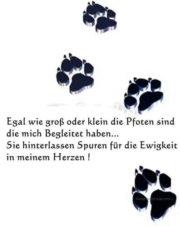 Andachtsbild von Silke mit Gila im ❤