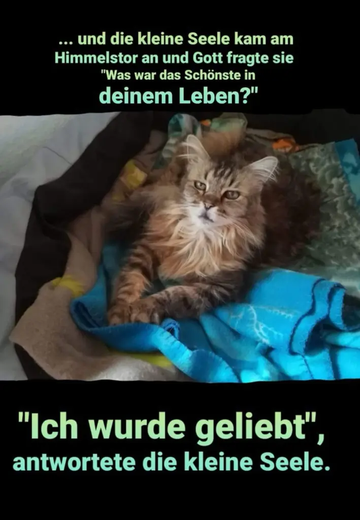 Andachtsbild von Silke mit Gila im ❤