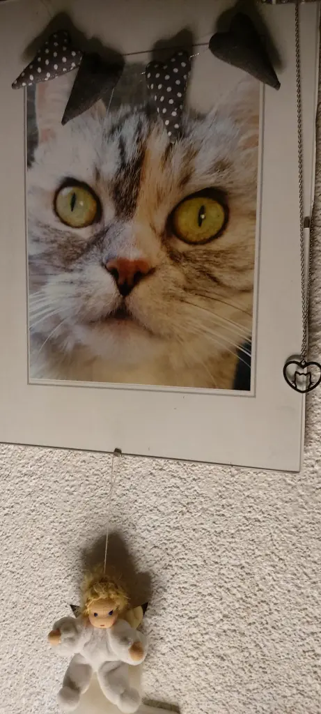 Andachtsbild von Mein Mädchen ♥️