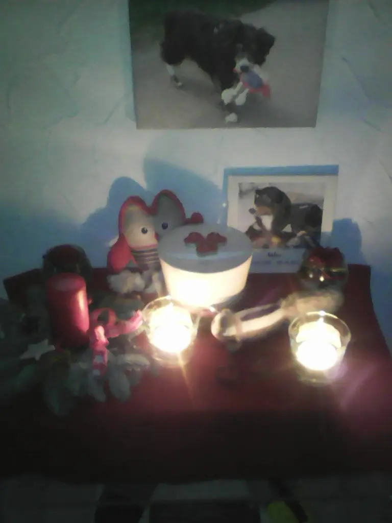 Andachtsbild von Renate mit Artax"Bubele" tief im Herzen