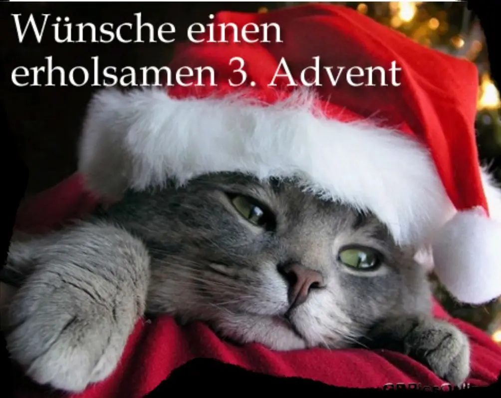 Andachtsbild von Silke mit Gila im ❤