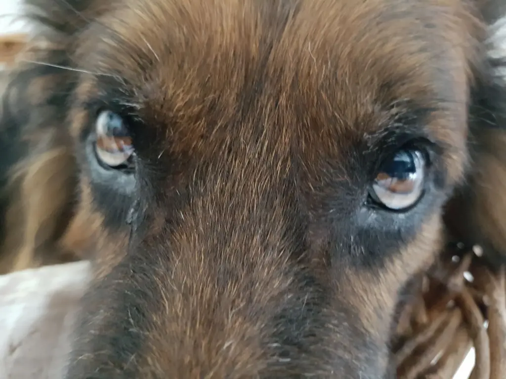 Andachtsbild von Ich drück dich❤