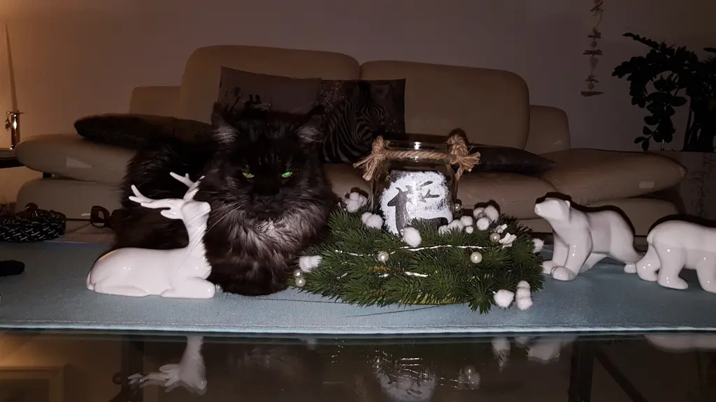 Andachtsbild von Silke  mit Gila im ❤