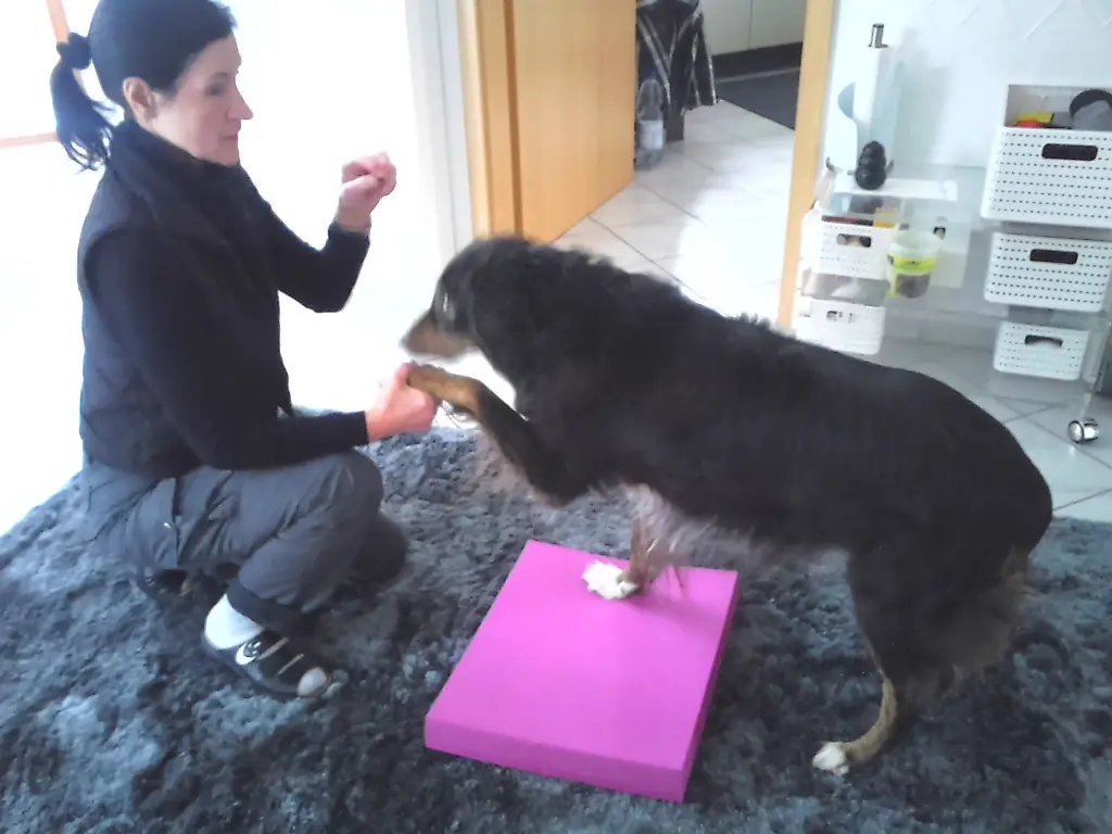 Andachtsbild von Renate mit Artax"Bubele" tief im Herzen