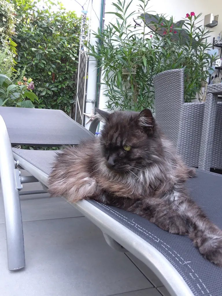 Andachtsbild von Silke mit Gila im ❤