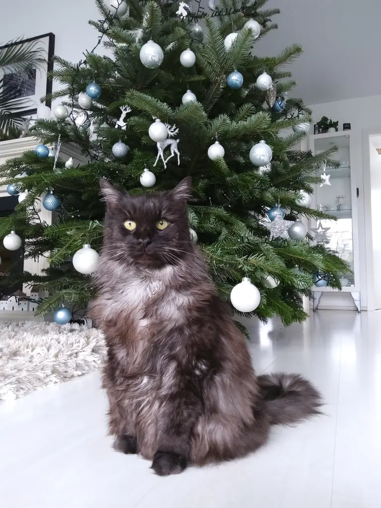 Andachtsbild von Für Silke und Mia