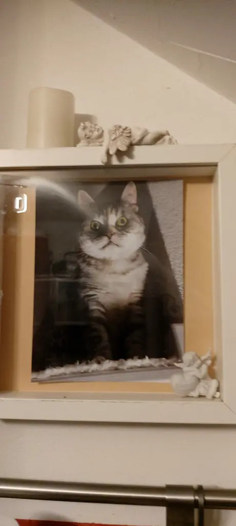 Andachtsbild von Ein Geschenk 