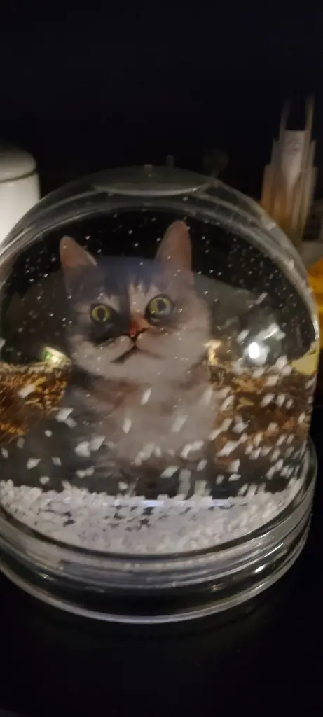 Andachtsbild von So ein schönes Geschenk ♥️