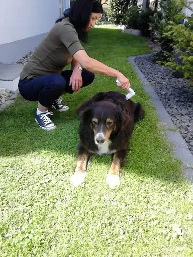 Andachtsbild von Renate mit Artax"Bubele" tief im Herzen