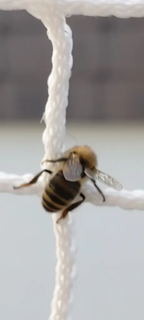 Andachtsbild von Die schönsten Geschichten beginnen mit "es war einmal..." 