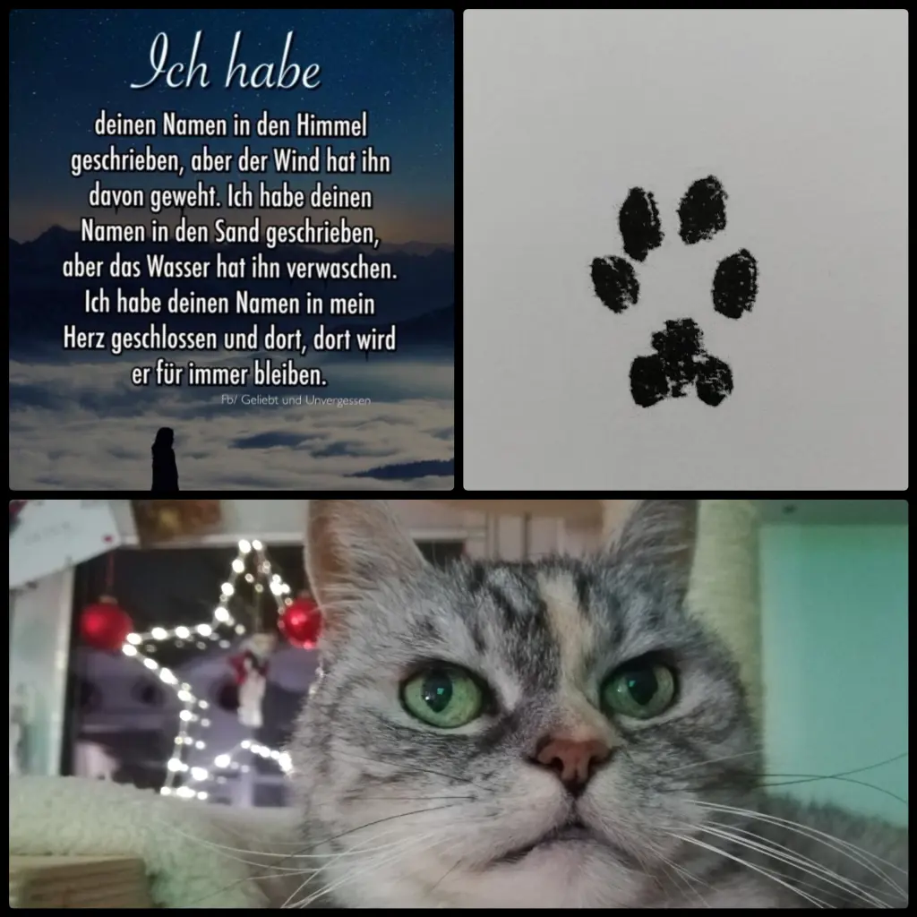 Andachtsbild von Für Pooh Bär ♥️