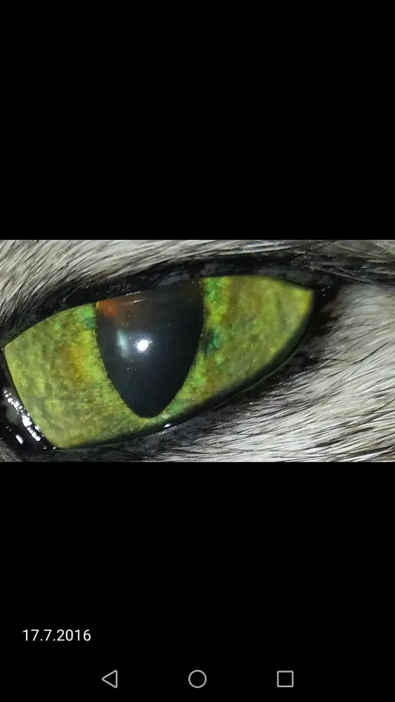 Andachtsbild von Ins Königreich des Himmels 