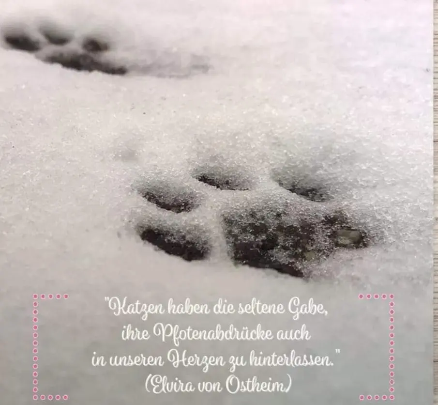 Andachtsbild von Silke mit Gila im ❤