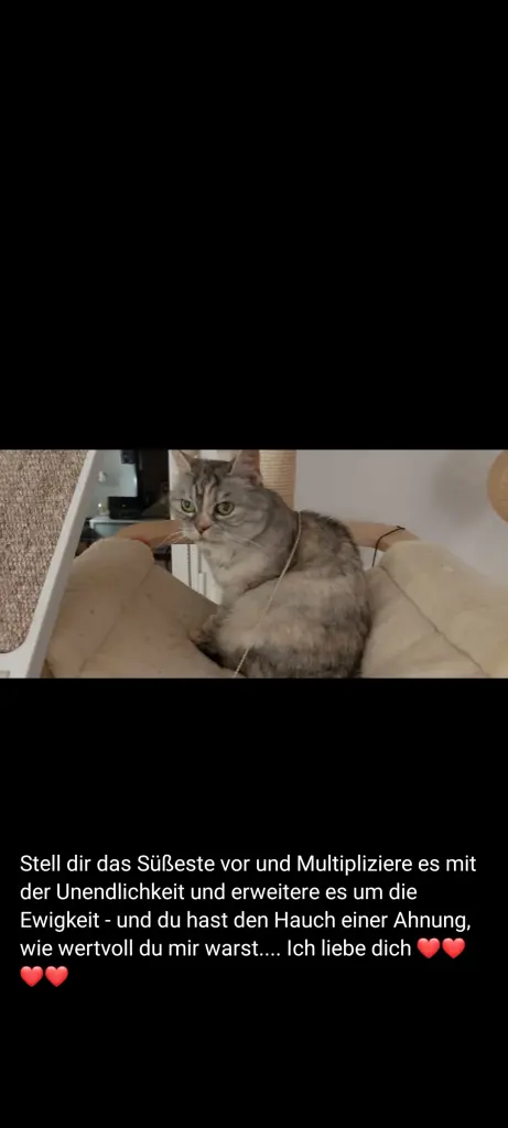 Andachtsbild von Für mein Baby ♥️