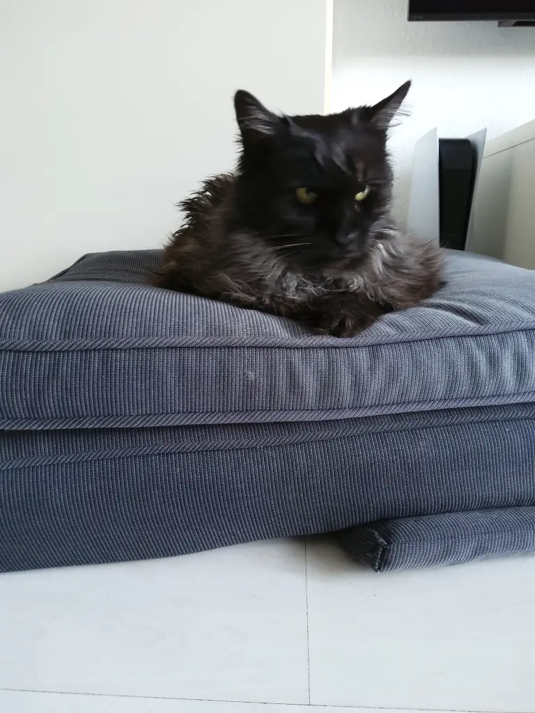 Andachtsbild von Silke mit Gila im ❤