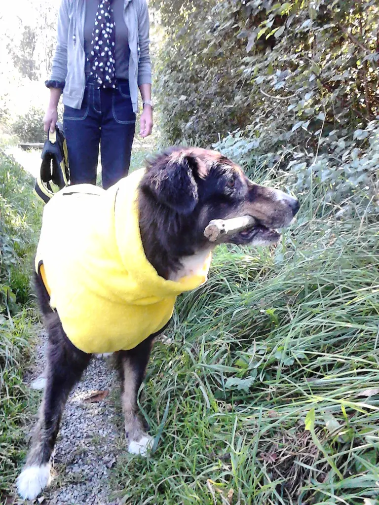 Andachtsbild von Renate mit Artax"Bubele" tief im Herzen