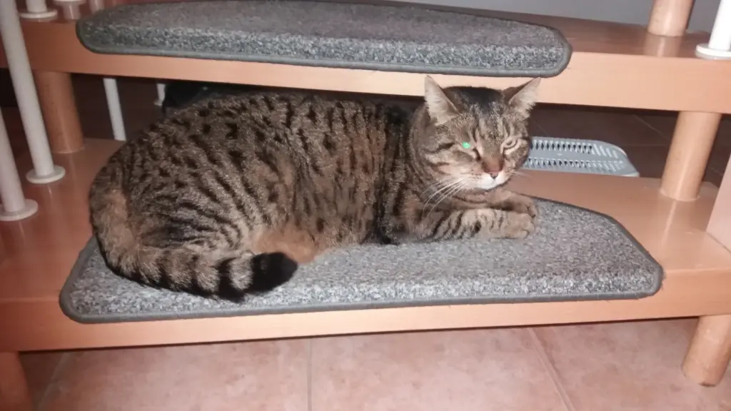 Andachtsbild von Annemarie und Elke mit Snoopy im Herzen gest.04.01.2022