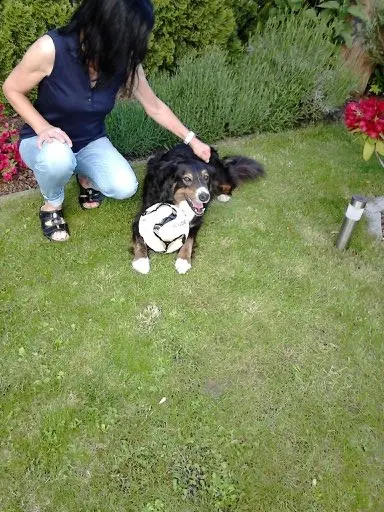 Andachtsbild von Renate mit Artax"Bubele" tief im Herzen