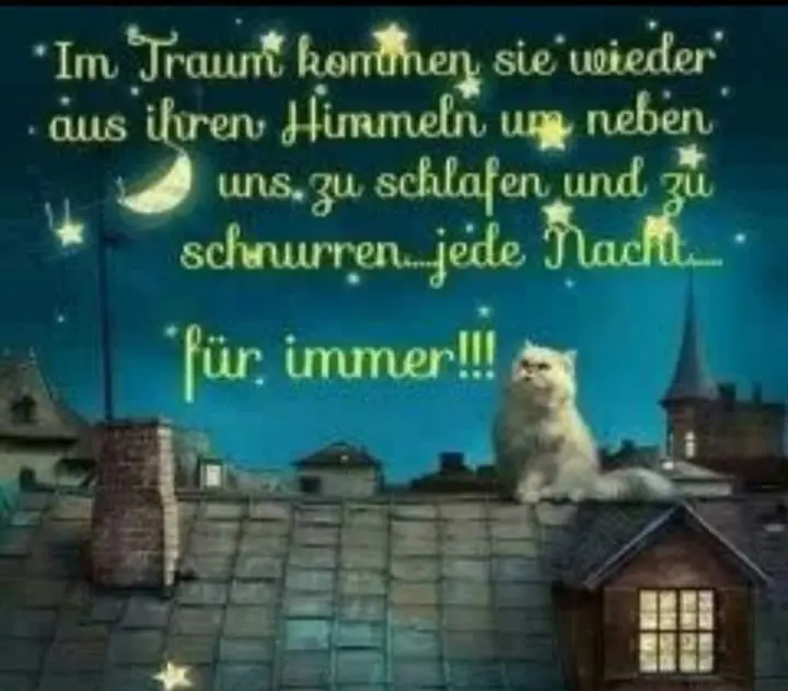 Andachtsbild von Silke mit Gila im ❤