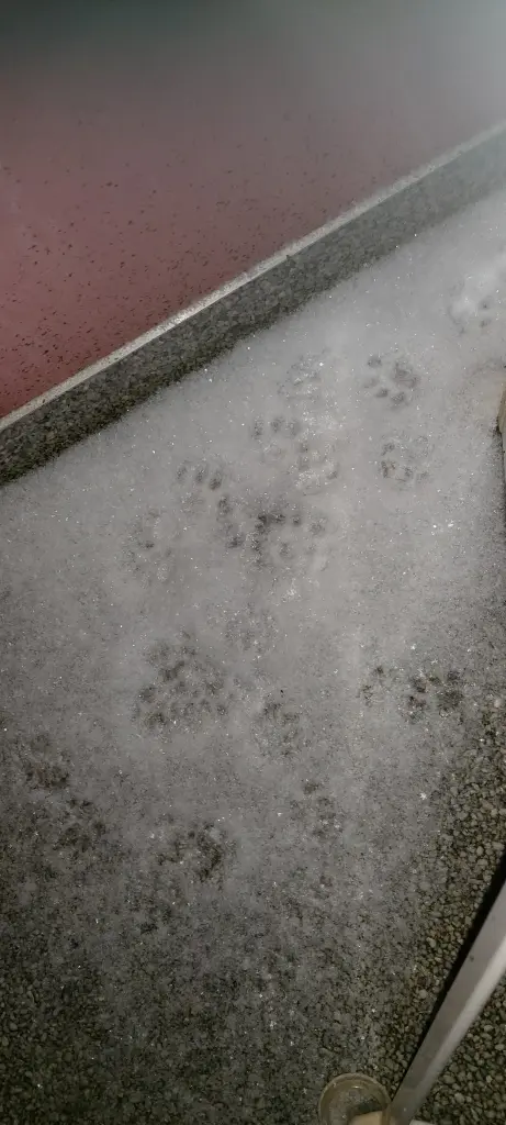 Andachtsbild von Spuren im Schnee